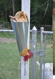 Whether a strip of metal shaped into a cone and nailed to a post, or a plastic traffic cone with the tip cut off, this is the easiest way to behead chickens.  They cannot flap around.  Remember to place a bucket to catch the blood.