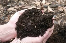 Composting is the way to make nutrient-rich soil to feed your fruits and veggies as they grow.