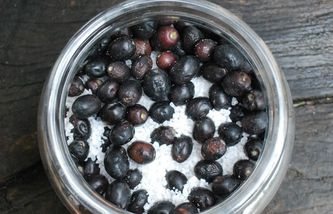 These olives have been preserved in salt.  

Mary of Agreda writes in her work, 